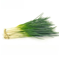 苏宁宜品新鲜小葱500g细葱 香料 时鲜蔬菜