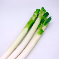 苏宁宜品京葱500g大葱京葱烧烤调料 蔬菜