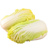 苏宁宜品大娃娃菜500g新鲜脆甜当季时令农家