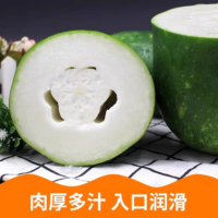 苏宁宜品大冬瓜500g以实际重量为准白冬瓜翠玉嫩东瓜