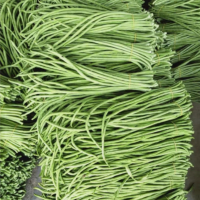 苏宁宜品长豆角500g新鲜嫩豇豆现摘青豆角