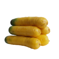 苏宁宜品黄皮胡萝卜500g黄心糖心黄皮小萝卜