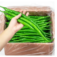 苏宁宜品线椒500g新鲜线椒现摘辣度适中