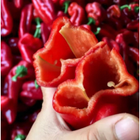 苏宁宜品红椒500g新鲜大红辣椒