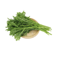 苏宁宜品茼蒿500g农家种植本地蒿子秆嫩叶菜