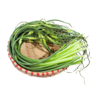 苏宁宜品蒜苗500g新鲜嫩蒜苔长款白帽苔