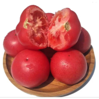 苏宁宜品西红柿500g沙瓤西红柿蔬菜