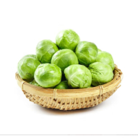 苏宁宜品青甘蓝500g圆白菜新鲜大头菜卷心菜