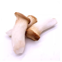 苏宁宜品杏鲍菇500g炒菜食材煲汤食用菌菇