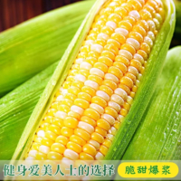 苏宁宜品玉米棒500g甜鲜玉米棒