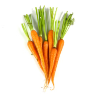 苏宁宜品小胡萝卜500g迷你水果小胡萝卜生鲜