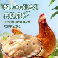 苏宁宜品三黄鸡500g散养鸡走地鸡煲汤食材