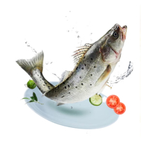 苏宁宜品鲈鱼500g三去鲈鱼海鲜生鲜鱼类