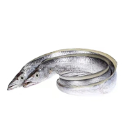 苏宁宜品带鱼500g新鲜特大整条带鱼