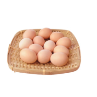 苏宁宜品鸡蛋500g 新鲜鸡蛋