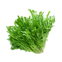 苏宁宜品苦菊500g苦苣蔬菜沙拉健康轻食食材