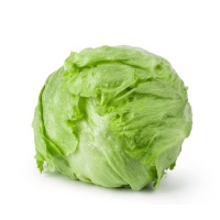 苏宁宜品球生菜500g球形生菜新鲜脆嫩蔬菜沙拉