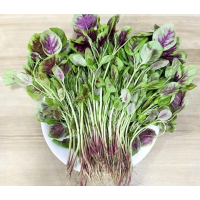 苏宁宜品苋菜500g红苋菜新鲜蔬菜