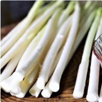 苏宁宜品嫩蒲菜500g新鲜蒲菜