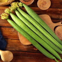 苏宁宜品丝瓜500g新鲜蔬菜清炒烧汤