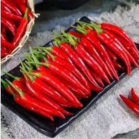 苏宁宜品小米椒500g新鲜小米辣椒新鲜蔬菜