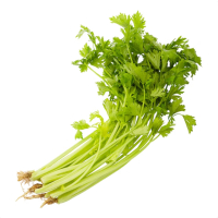 苏宁宜品药芹500g新鲜蔬菜小药芹