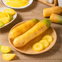 苏宁宜品黄胡萝卜500g新鲜蔬菜
