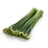 苏宁宜品韭菜苔500g新鲜蔬菜