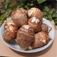 苏宁宜品芋头500g新鲜蔬菜