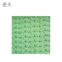 逆火 NH-DTPGL 1*1m 1块/平方米 纤维 地毯(计价单位:平方米)苹果绿