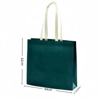 朗盛光艺 LSGY26 44cm宽*42cm高*12cm侧 无纺布手提袋 文件袋(计价单位:个) 墨绿色
