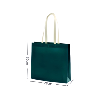 朗盛光艺 LSGY23 28cm宽*30cm高*10cm侧 无纺布手提袋 文件袋(计价单位:个) 墨绿色
