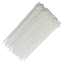 洁能尚 ZD-14 尼龙 8.8mm*650mm 100根/包 扎带(计价单位:包) 白色