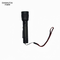 丹琥泰 DHT-SDT02 2.5W 电筒(计价单位:个)黑色