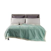 艾逸瑶选 克莱恩抗菌被200x230cm JF-24110 1 件/床(计价单位:床) 绿色