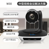润普科技(RunPU)数码配件RP-W30适用20-50平米/高清视频会议摄像头/摄像机/全向麦克风/软件系统终端(Z)