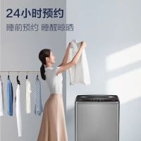 TCL 8公斤波轮大容量洗衣机全自动洗衣机一键脱水洗洗衣机 8公斤B80S2 洗脱一体防缠绕下排水