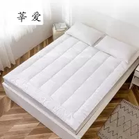 莘爱褥子100×200cm/条