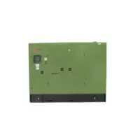 DONMIN东明 300kw玉柴柴油发电机组,大型工程施工应急柴油发电机组 GF2-300Y(ATS)-BD