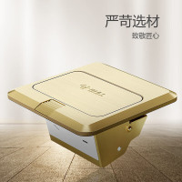 公牛开关插座 五孔地插座GD1Z223 全铜5孔地插地板地面插座 金色
