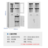 文件柜办公柜钢制铁皮柜档案柜凭证柜储物柜带锁二抽文件柜常规款