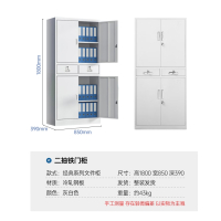 文件柜办公柜钢制铁皮柜档案柜凭证柜储物柜带锁二抽铁门柜升级款