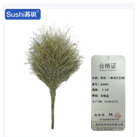 苏识 竹扫把环卫竹制大扫把马路扫帚 一体式大扫把(3.5斤) QJ0001 把