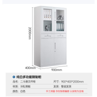 文件柜办公柜钢制铁皮柜档案柜凭证柜储物柜带锁纯白二斗文件柜