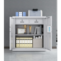 保密柜财务办公资料档案钢制防盗柜文件铁皮柜矮柜二抽国保指纹锁