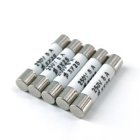 保险管熔断丝250v 6A 5*25mm 200个