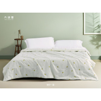 太湖雪 蚕丝夏凉被 150*210cm 青柠一夏