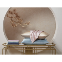 太湖雪 真丝纯色枕套 48*74cm 雾霾蓝