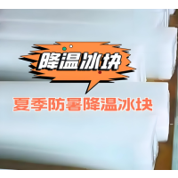 苏识 工业用防暑降温冰块 可定制 单块尺寸 800*400*180mm 1吨