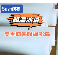 苏识 工业用防暑降温冰块 可定制 单块 尺寸 800*400*180mm 1块